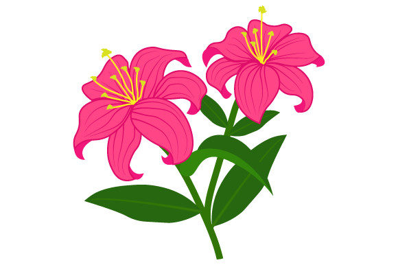 Pink Jasmine Flower Illustration for Creative Design