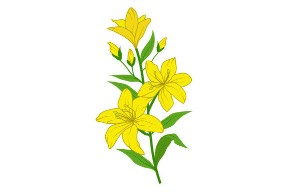 Yellow Flower Illustration Review for Embroidery Projects
